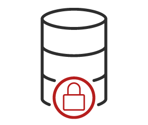 Data-access-big image of a data storage icon for MTI data storage services