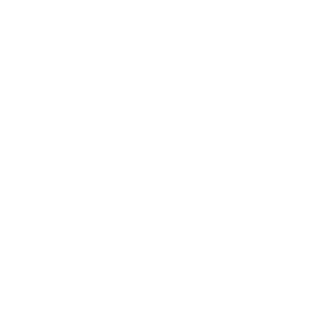 icon-25years 25 Years